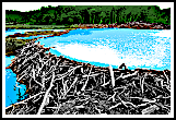 BeaverDam