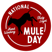 MuleDay