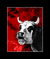 Bellowing ox_Jan Asselijn