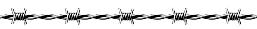 BarbWire