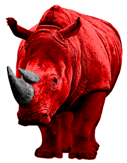 Rhino
