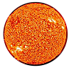Sun2