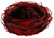 Nest