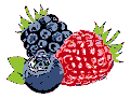 Berries