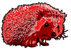 Hedgehog