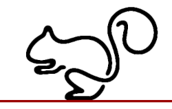 SquirrelLine