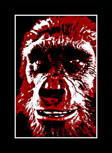 sahelanthropus tchadensis