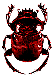 Scarab