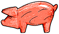 Pig