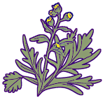 Wormwood