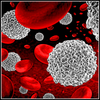 BloodCells