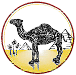 Camel