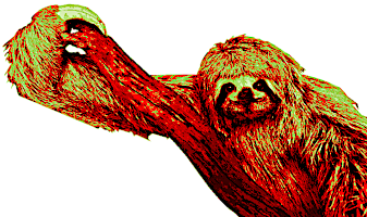 Sloth