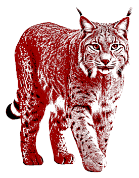 Lynx